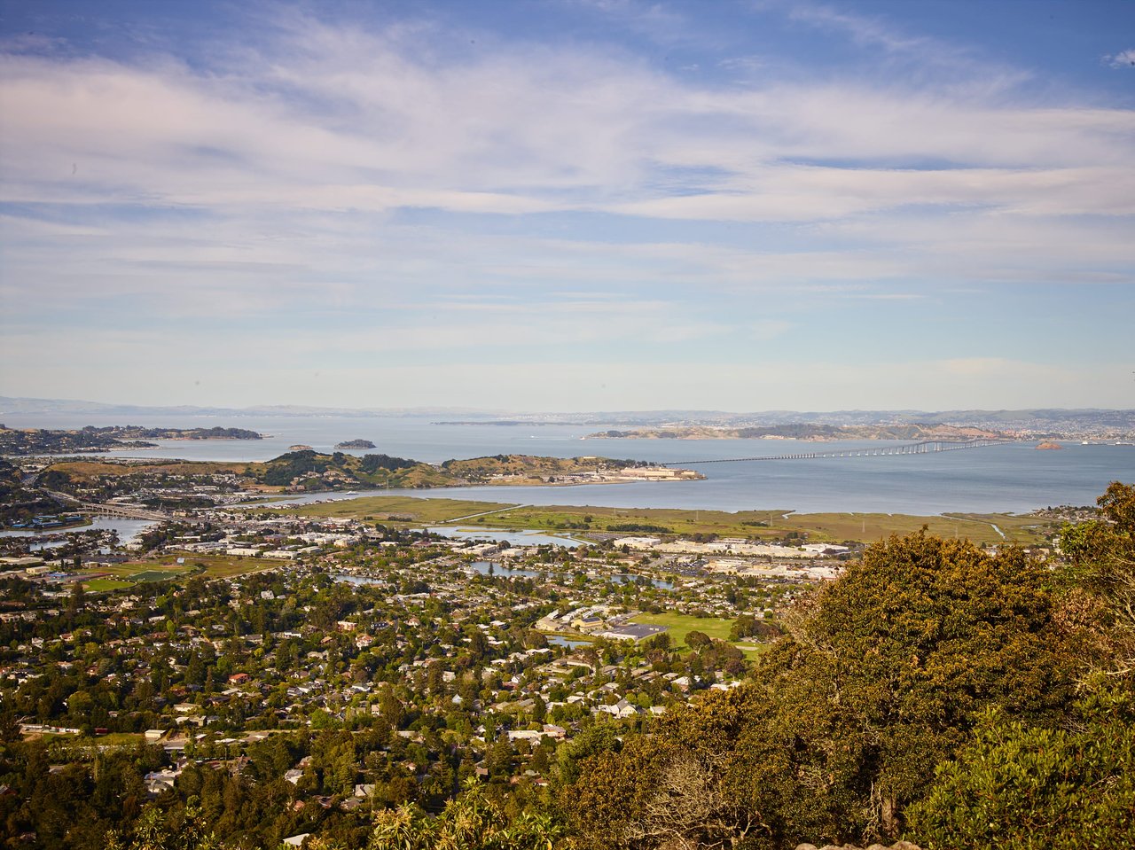 Marin Community and Real Estate Market Report - 8/21/20