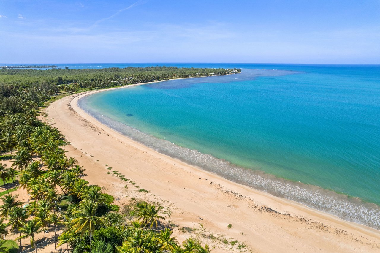 Bosque Del Mar