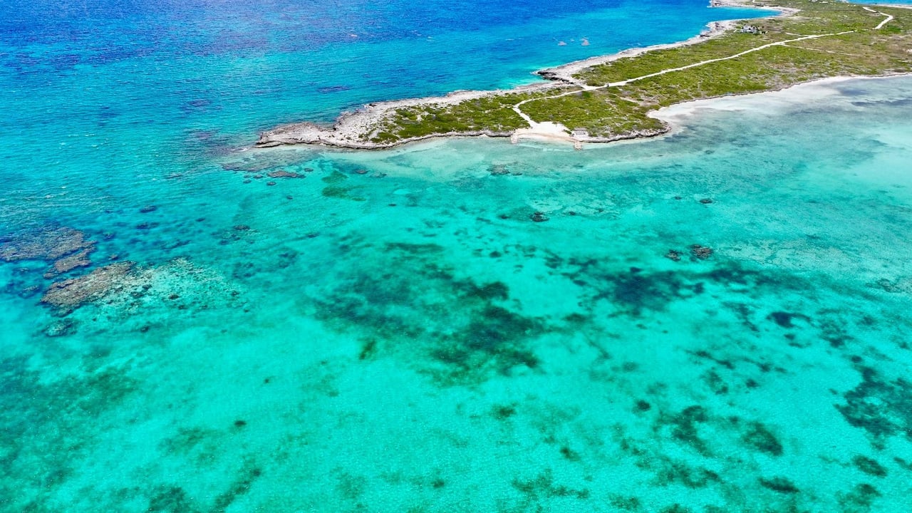 Tarpon Point-Ambergris Cay