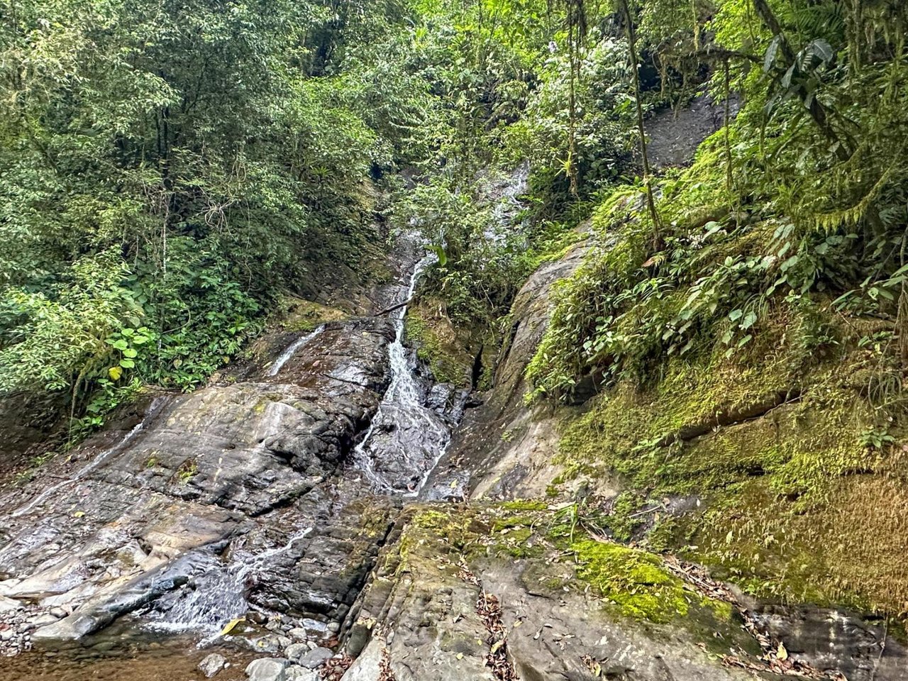 Waterfall Rainforest River Estate, Uvita, Puntarenas