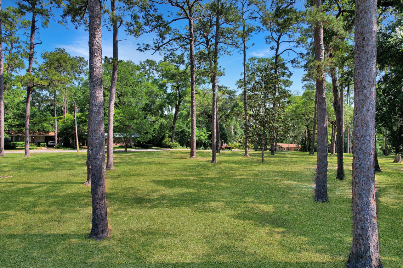 A ground-level view of Marby Park area with tall trees scattered across a grassy field. The park appears open and spacious, providing a natural and serene environment.