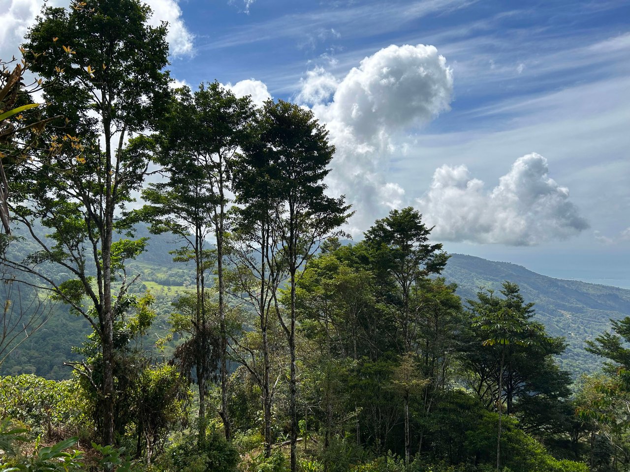 Whale Tail, Ocean & Mountain View lot in San Luis.