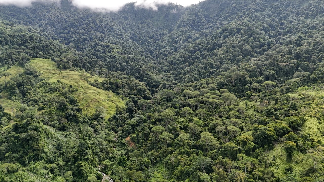 Rainforest Waterfall Acreage Estate, Dominical, Puntarenas