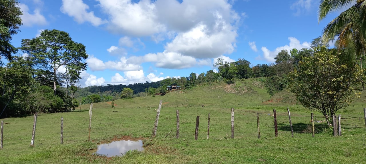 Osa Peninsula Magic 