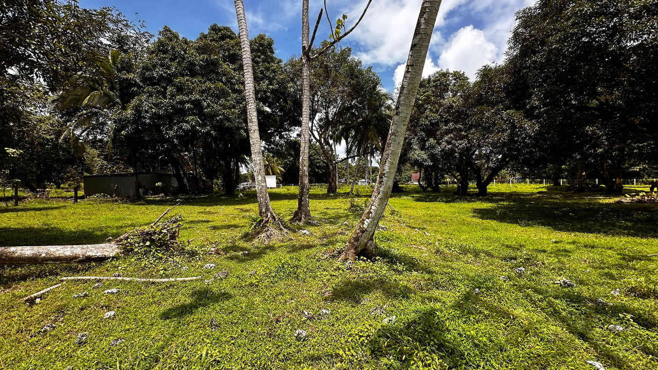 DEVELOPERS DREAM! Bahia, Uvita, walk to the beach!