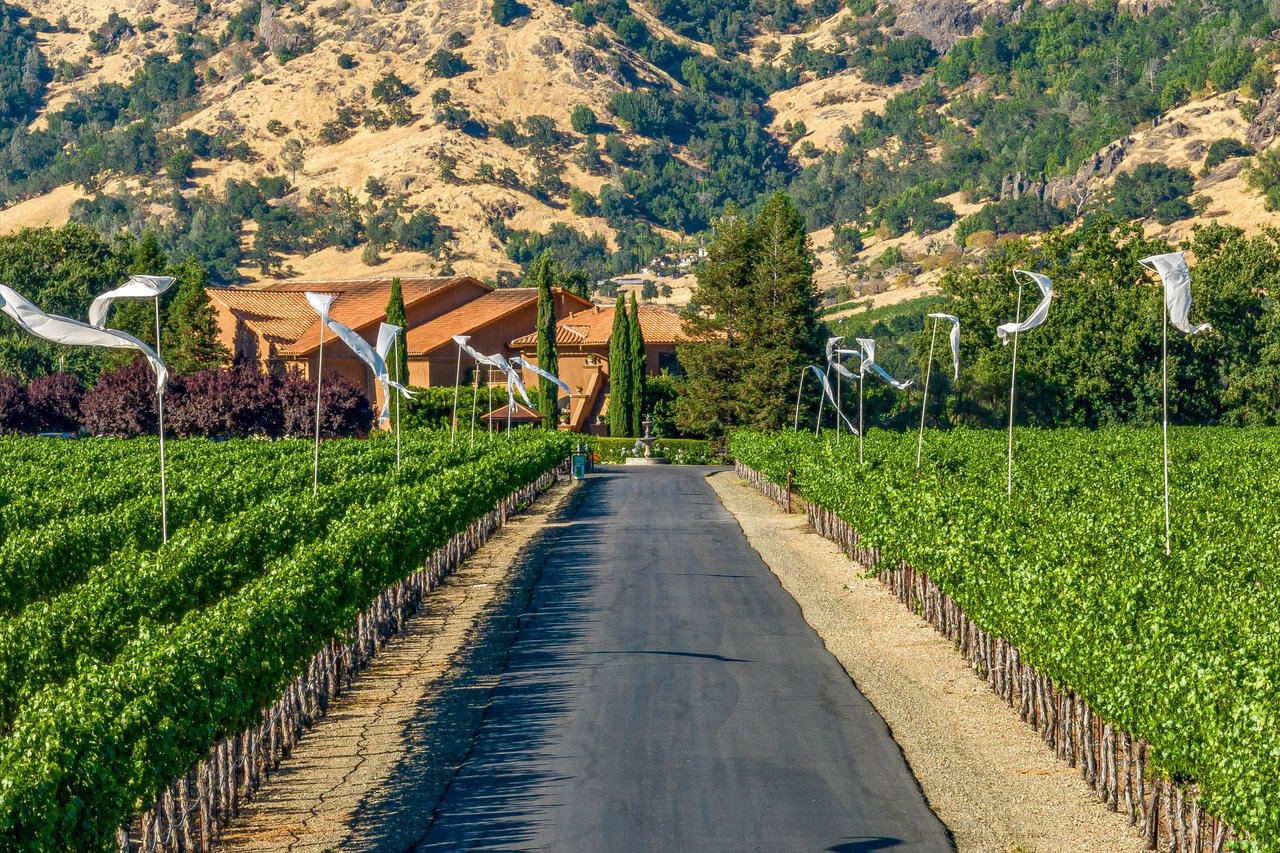 Bennett Lane Winery