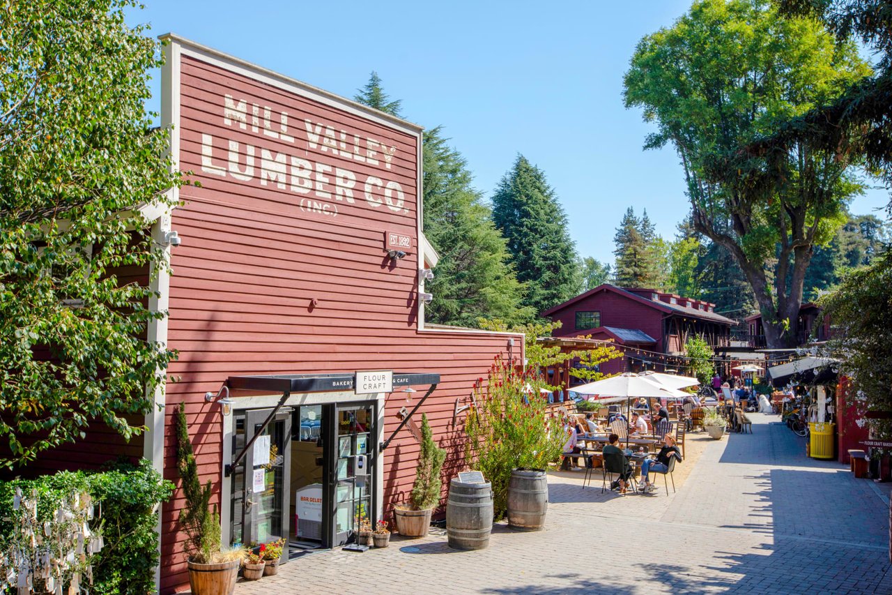 MILL VALLEY neighborhood