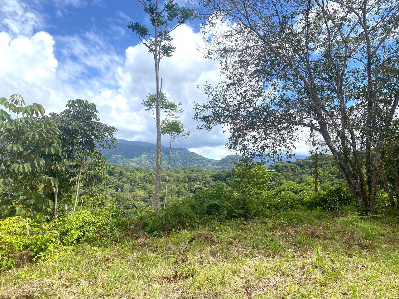 Majestic Expansive Mountain Backdrop
