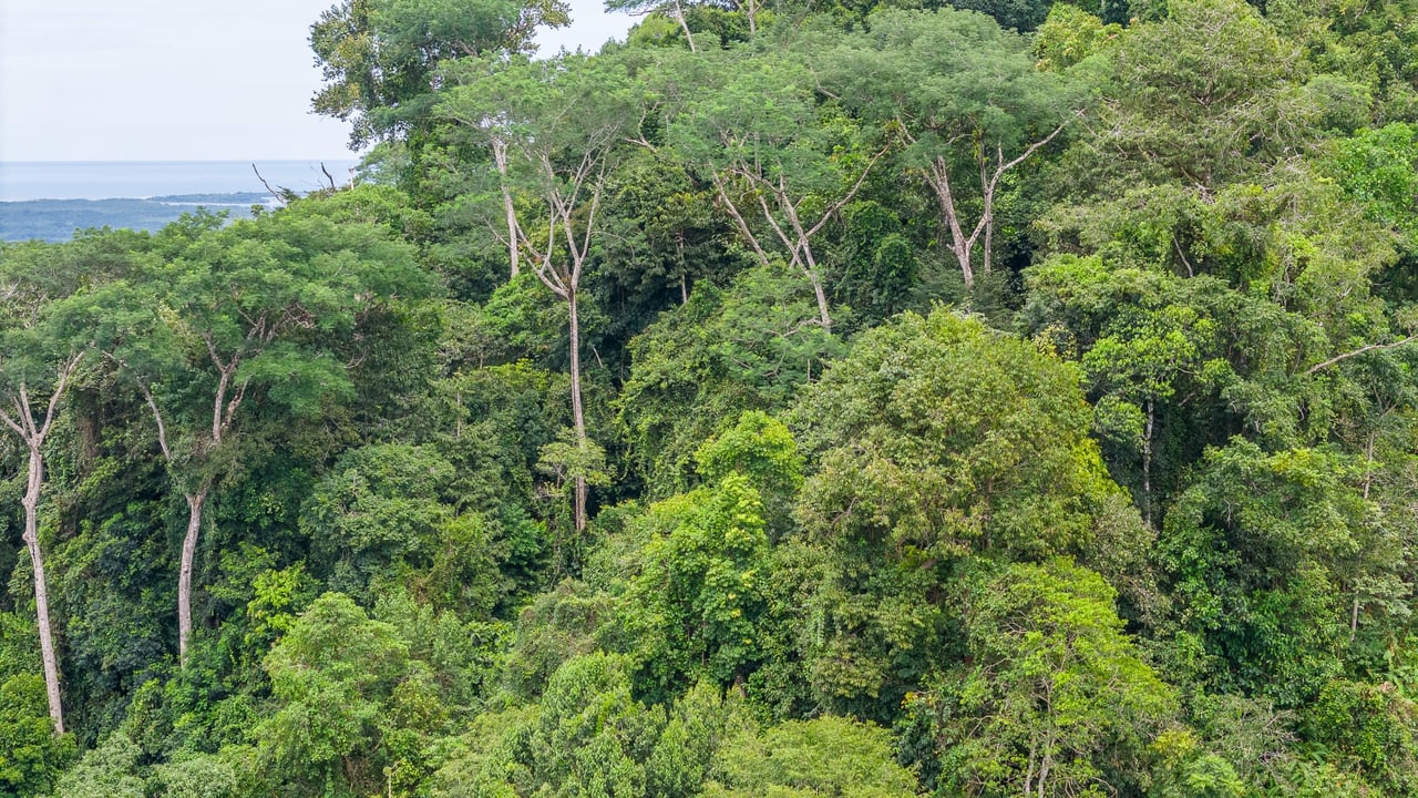 Costa Rican Gem with Conservation Potential: Preserve 26 Acres of Pristine Land