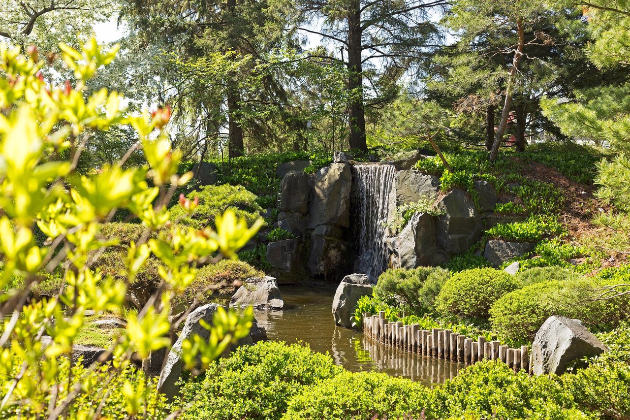 Weekend Happenings around the Twin Cities