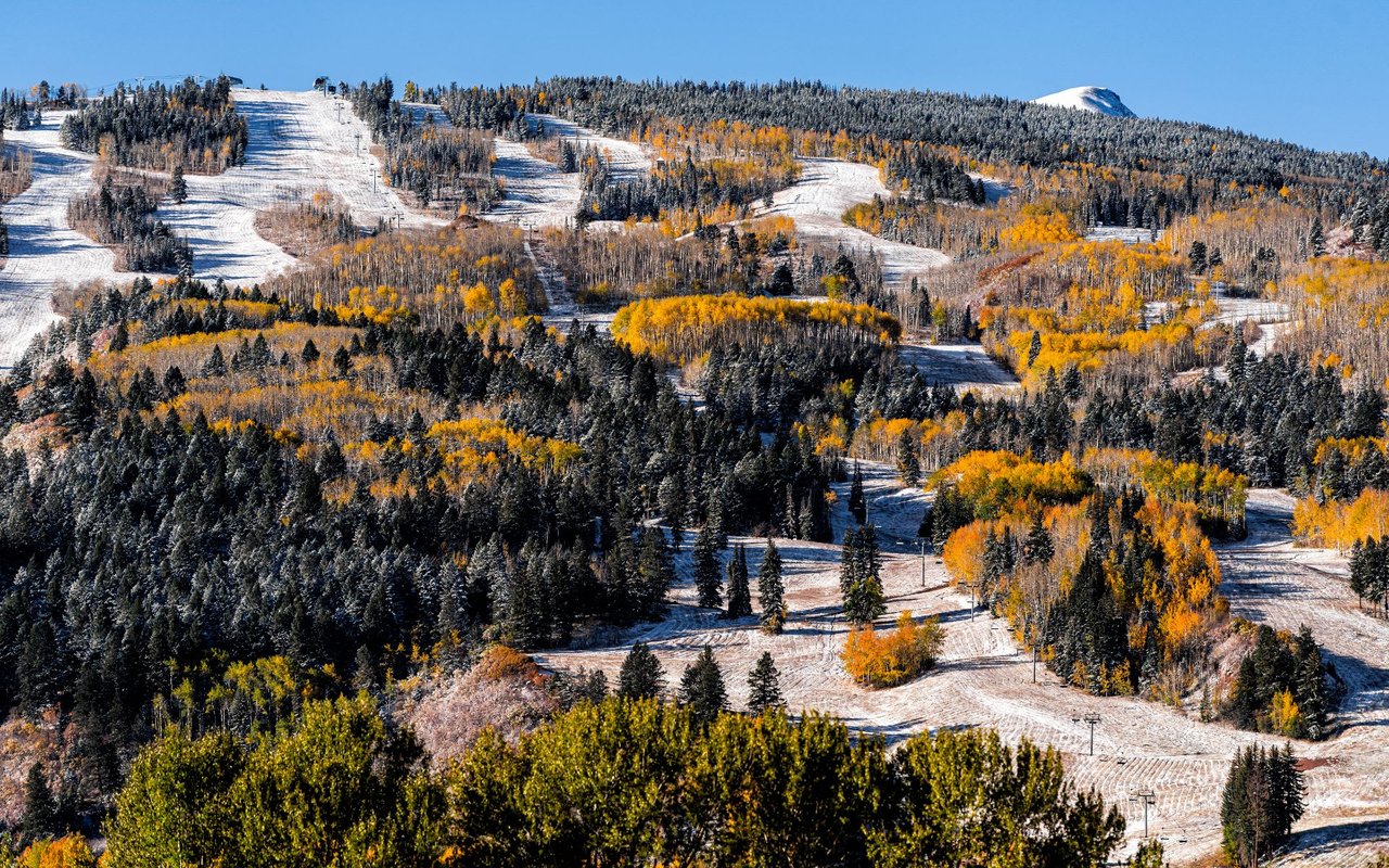 Buttermilk | Aspen