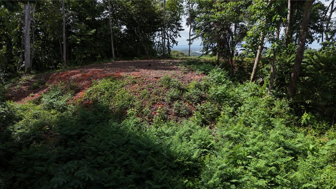 Secluded Ocean View Development Land, Ojochal, Puntarenas