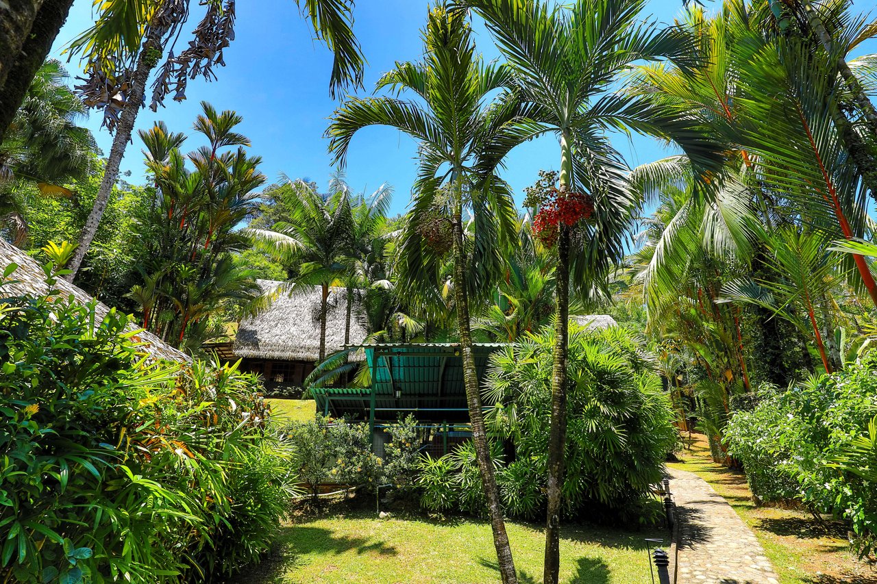 A MONEY MAKER! Location, home, guest cabins, with a SUCCE$$FUL exclusive distribution agency!