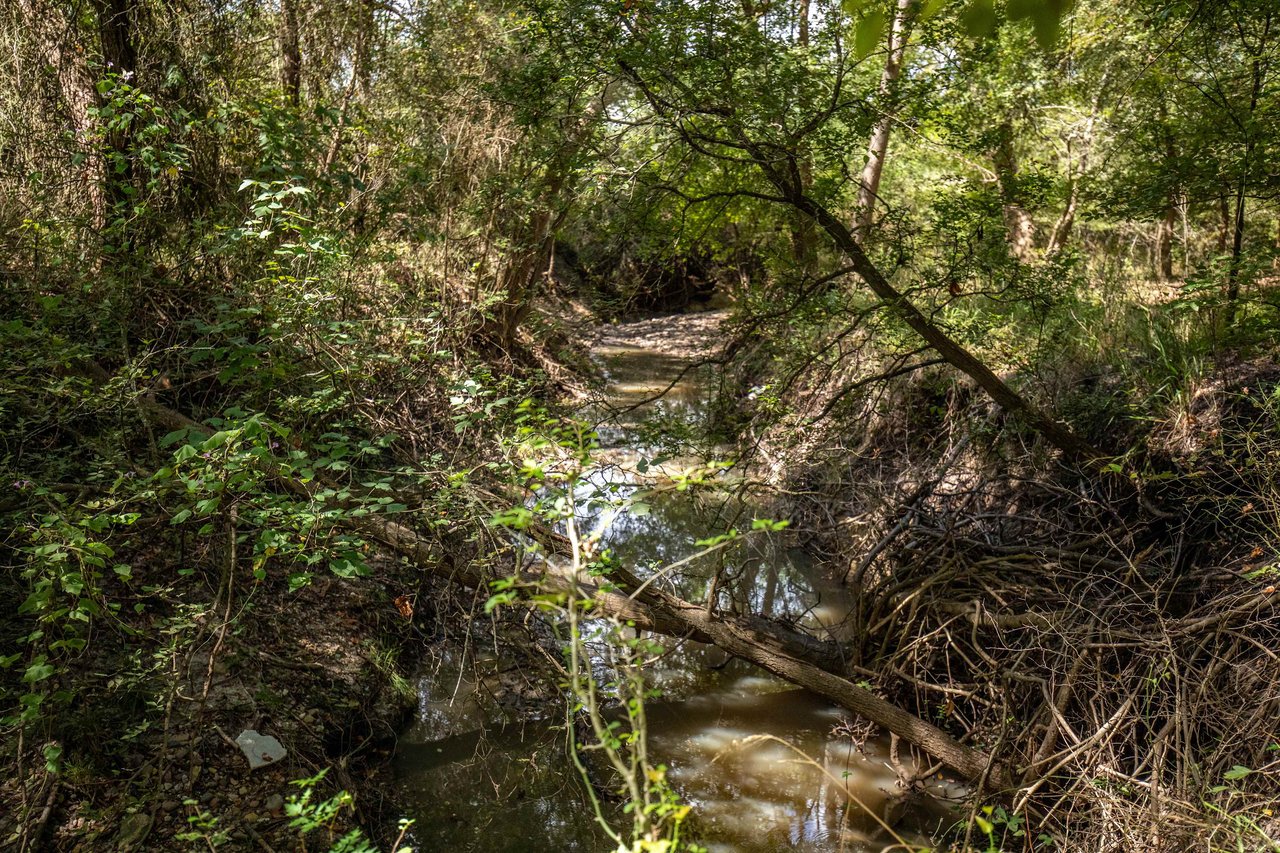 Lovers Lane River Ranch | 140± Acres | DeWitt County