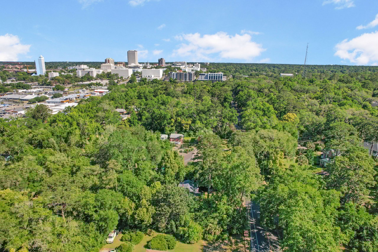 Aerial view of Myers Park neighborhood, with a distant urban skyline visible.