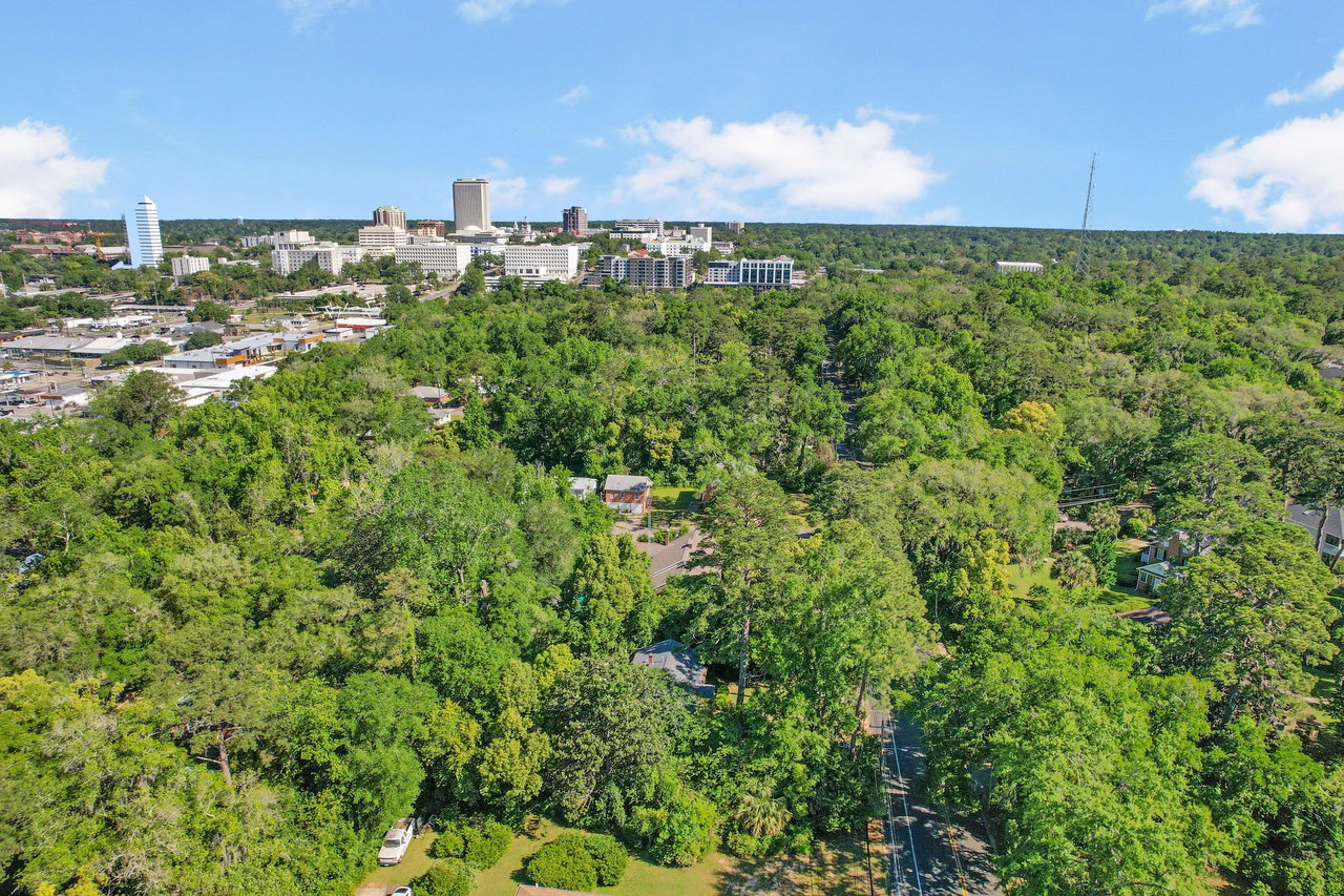 Aerial view of Myers Park neighborhood, with a distant urban skyline visible.