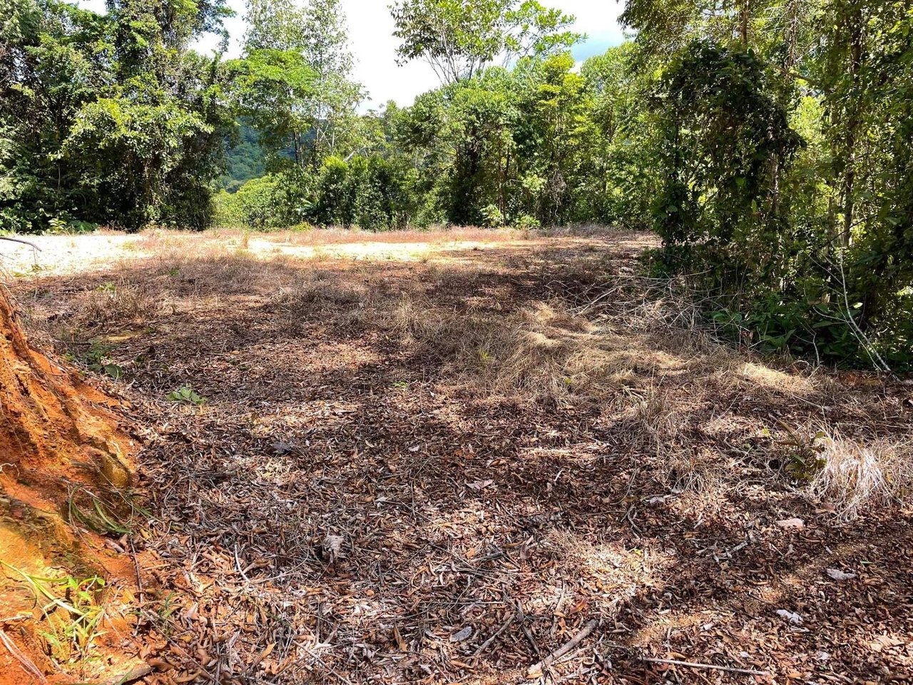 Ocean View Rainforest Estate, Ojochal, Puntarenas