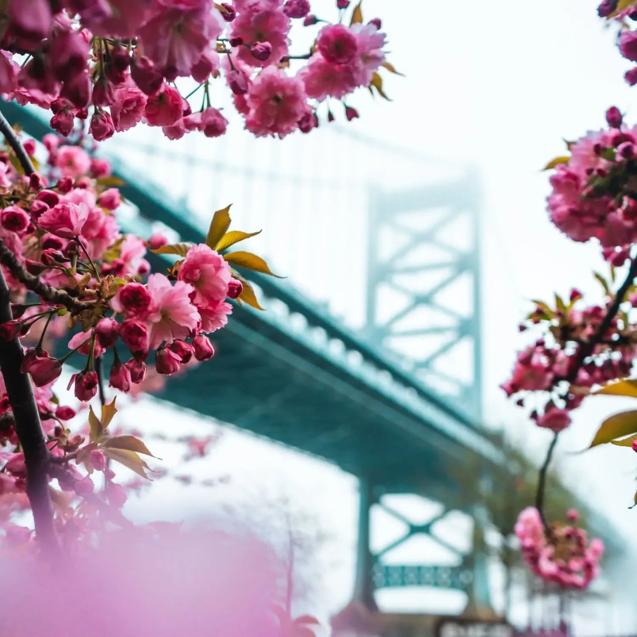 Explore Philadelphia This Spring