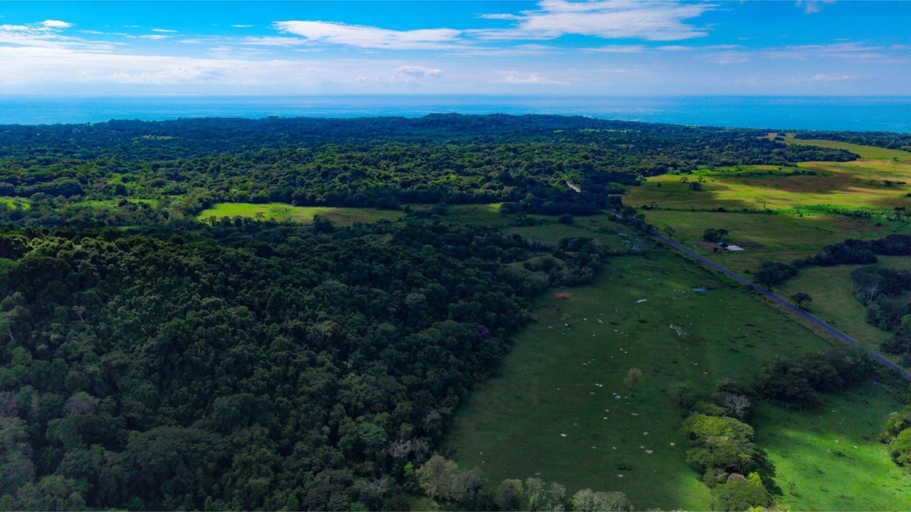 Oceanfront Legacy Ranch Estate, Jaco, Puntarenas