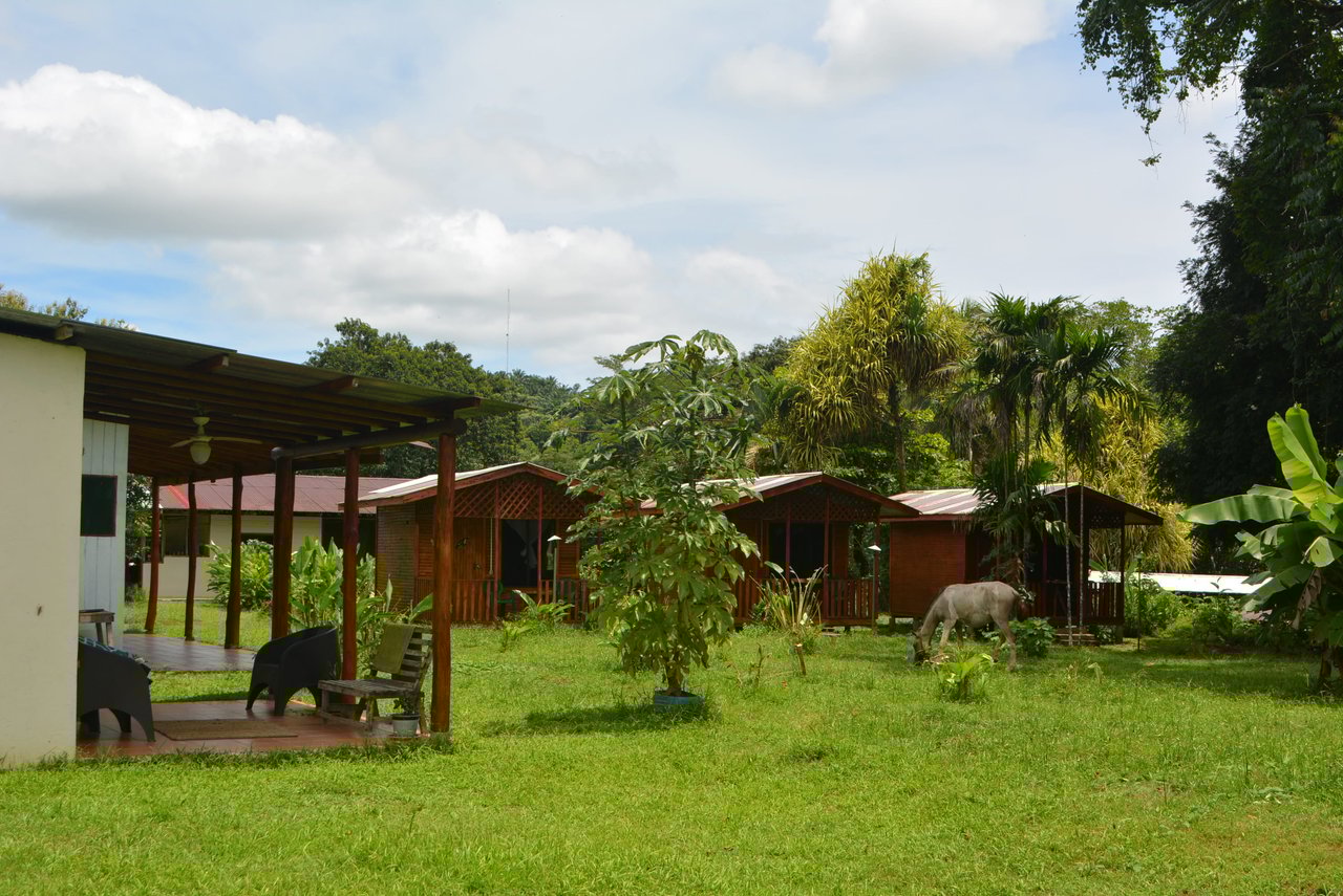 10 Acre Rio Sierpe Paradise Residential And Cabinas