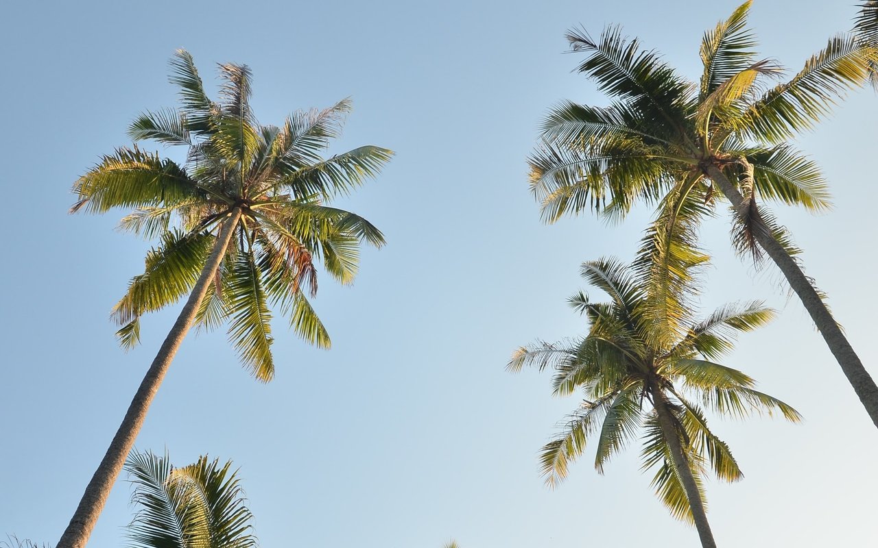 Trending Summer Vacation Destinations In The US For 2024