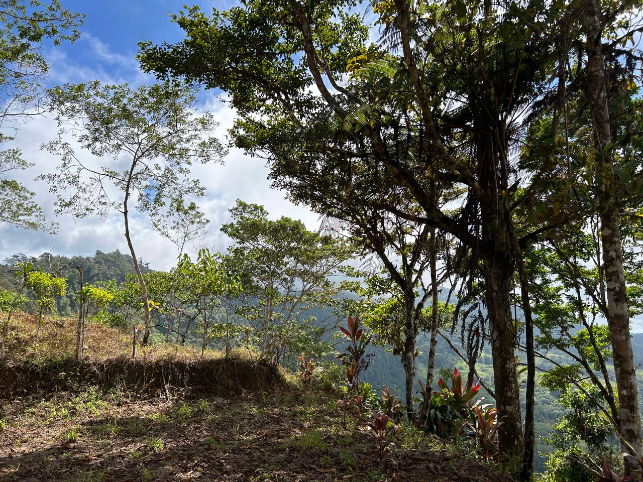 Whale Tail, Ocean & Mountain View lot in San Luis.