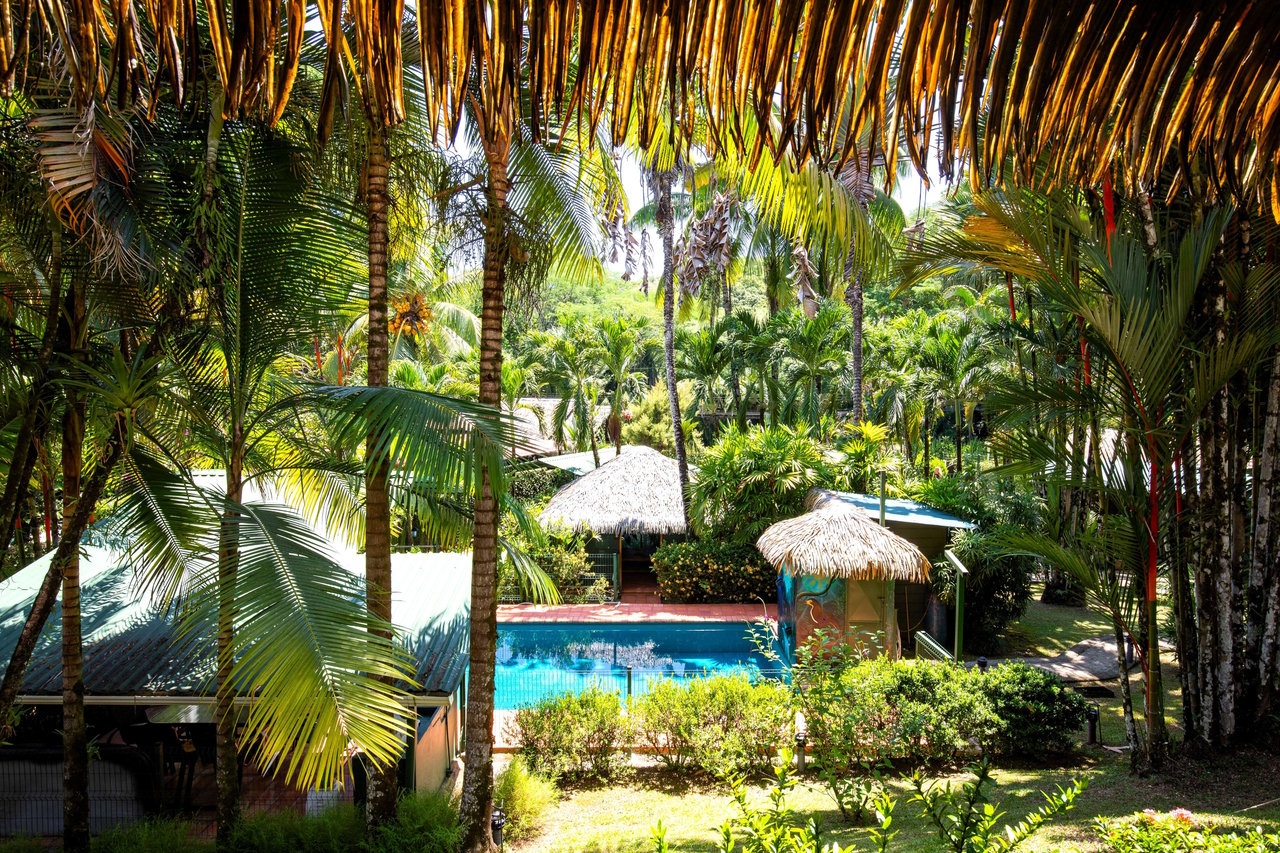A MONEY MAKER! Location, home, guest cabins, with a SUCCE$$FUL exclusive distribution agency!