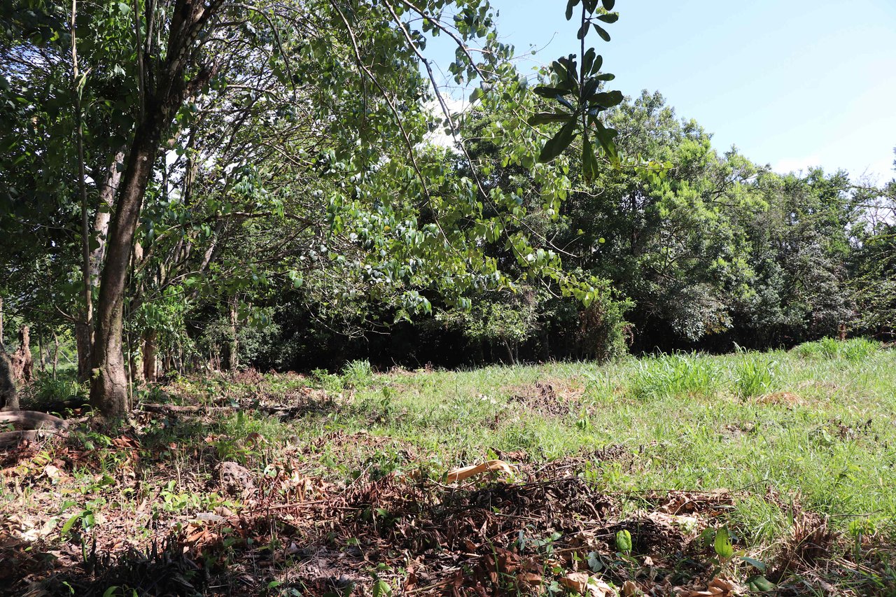 Over 3 Acres, Mountain View Lot in the Heart of Ojochal, Ready for Development!.