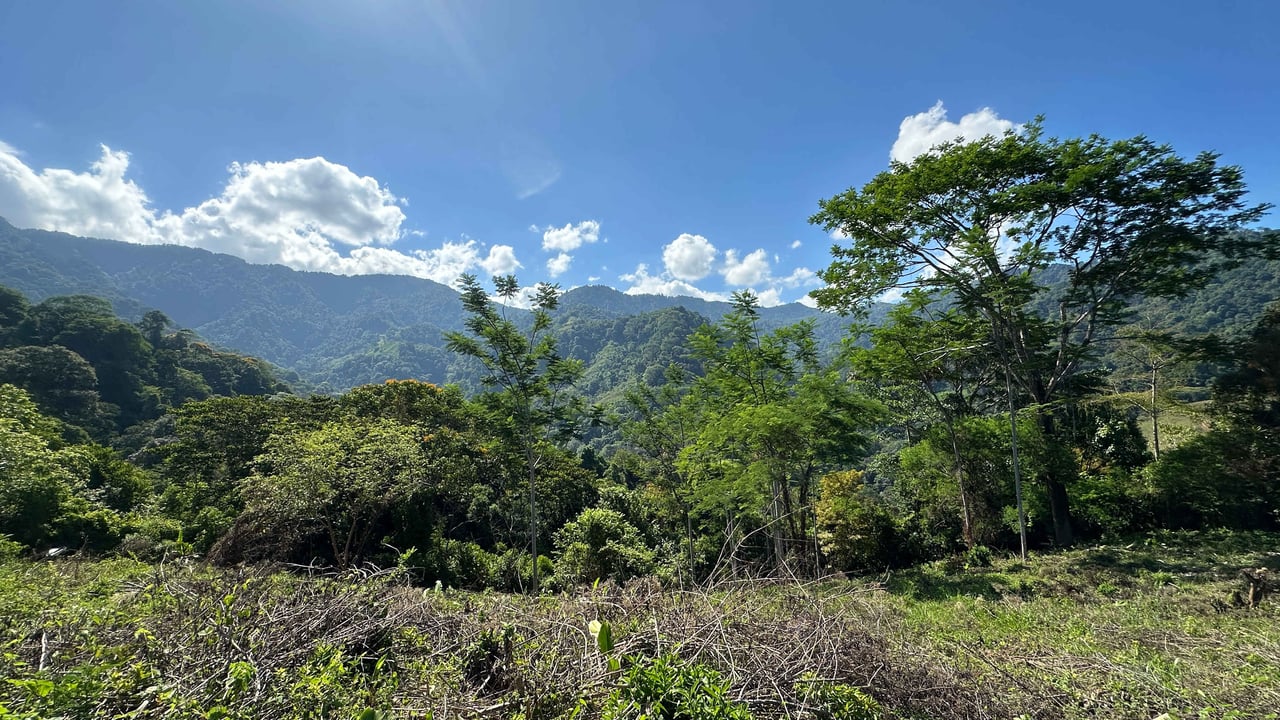 Prime Mountain Farm Land with Ocean Views and Private Waterfall in Uvita, Costa Rica