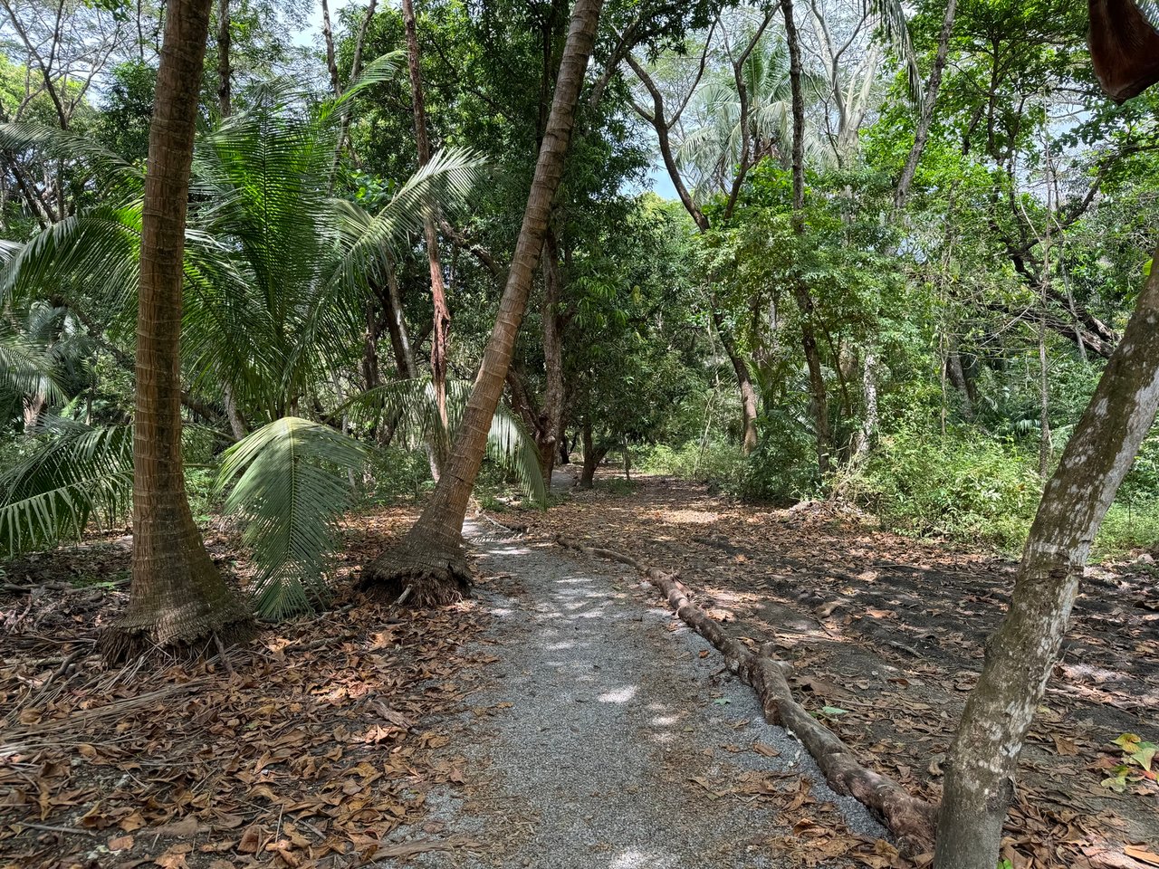 Premier Beachfront Concession Lot, Santa Teresa, Puntarenas