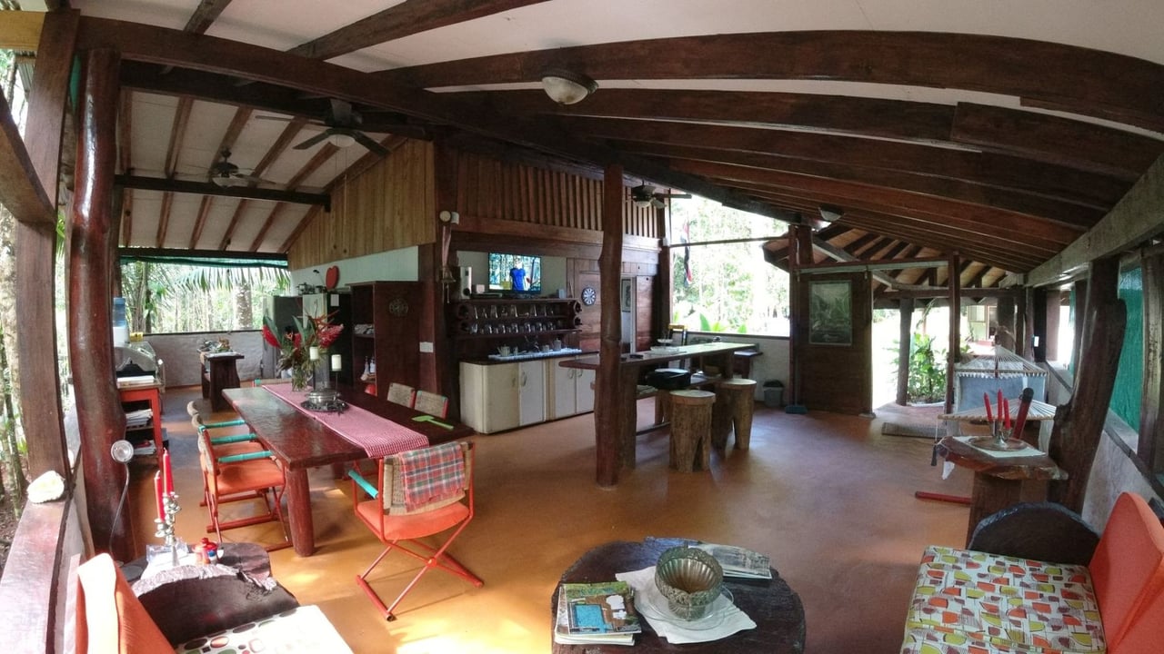 Secluded Rainforest Beachfront Estate, Osa, Puntarenas