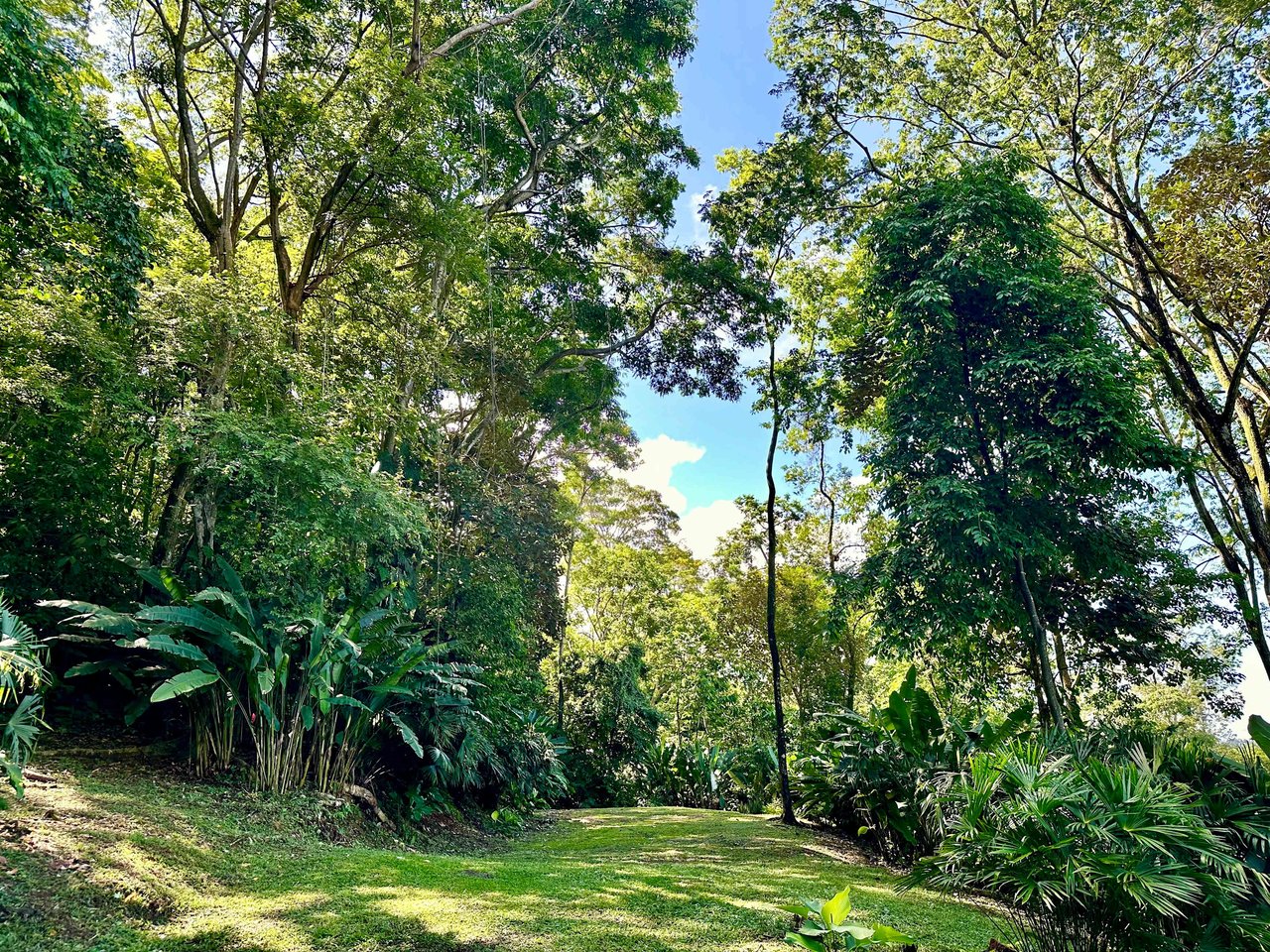 BEST OCEAN VIEW LOT Including WHALE TAIL BEACH, CAÑO ISLAND and other ISLANDS!