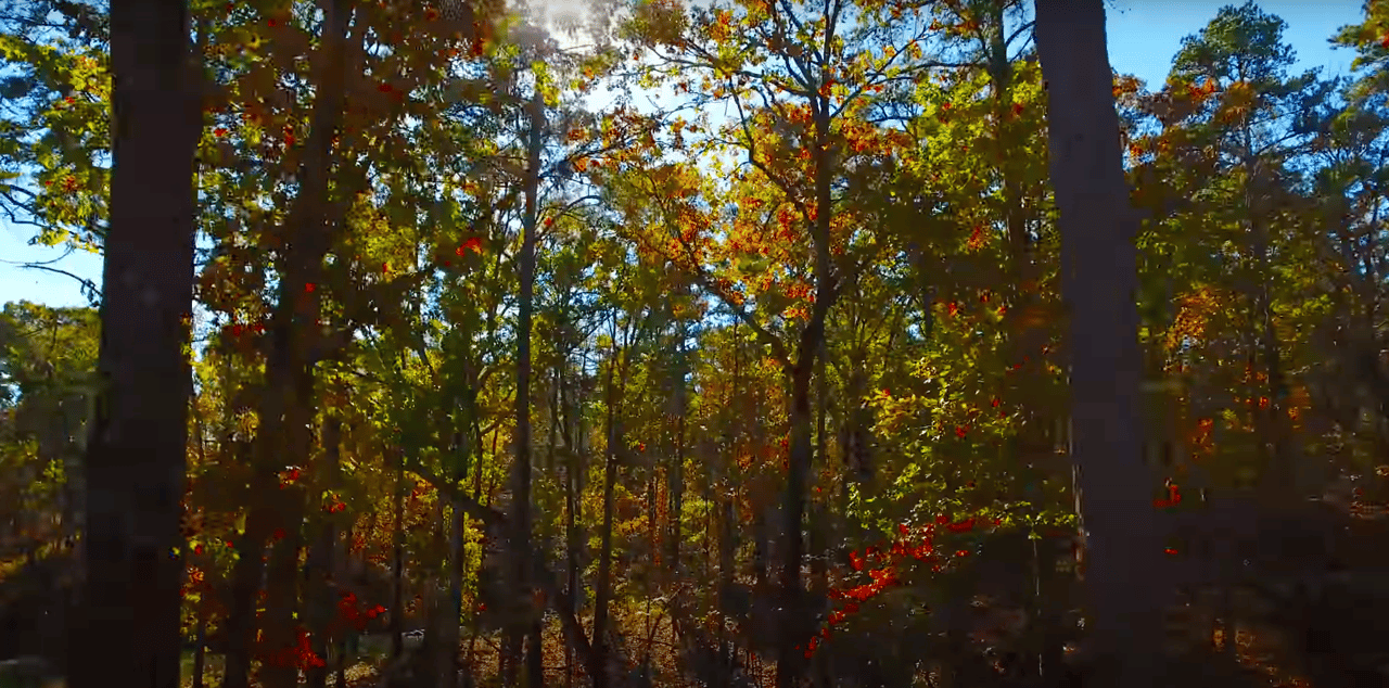 East Texas Towns