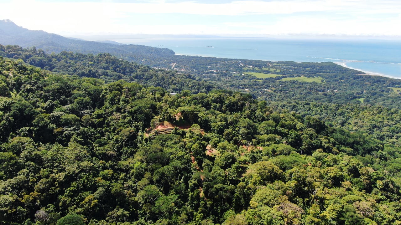 Whale Tail View Development Parcel, Uvita, Puntarenas