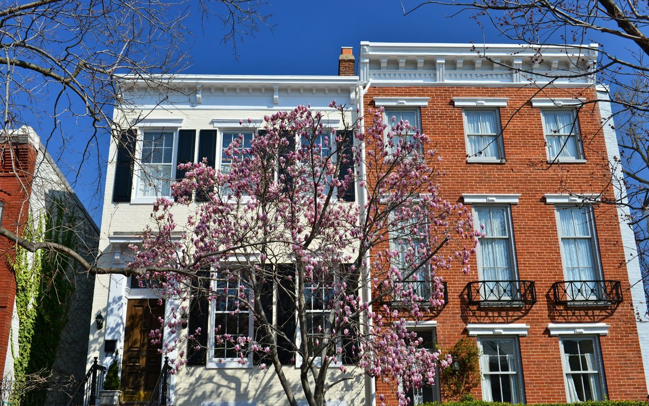 Mount Airy West