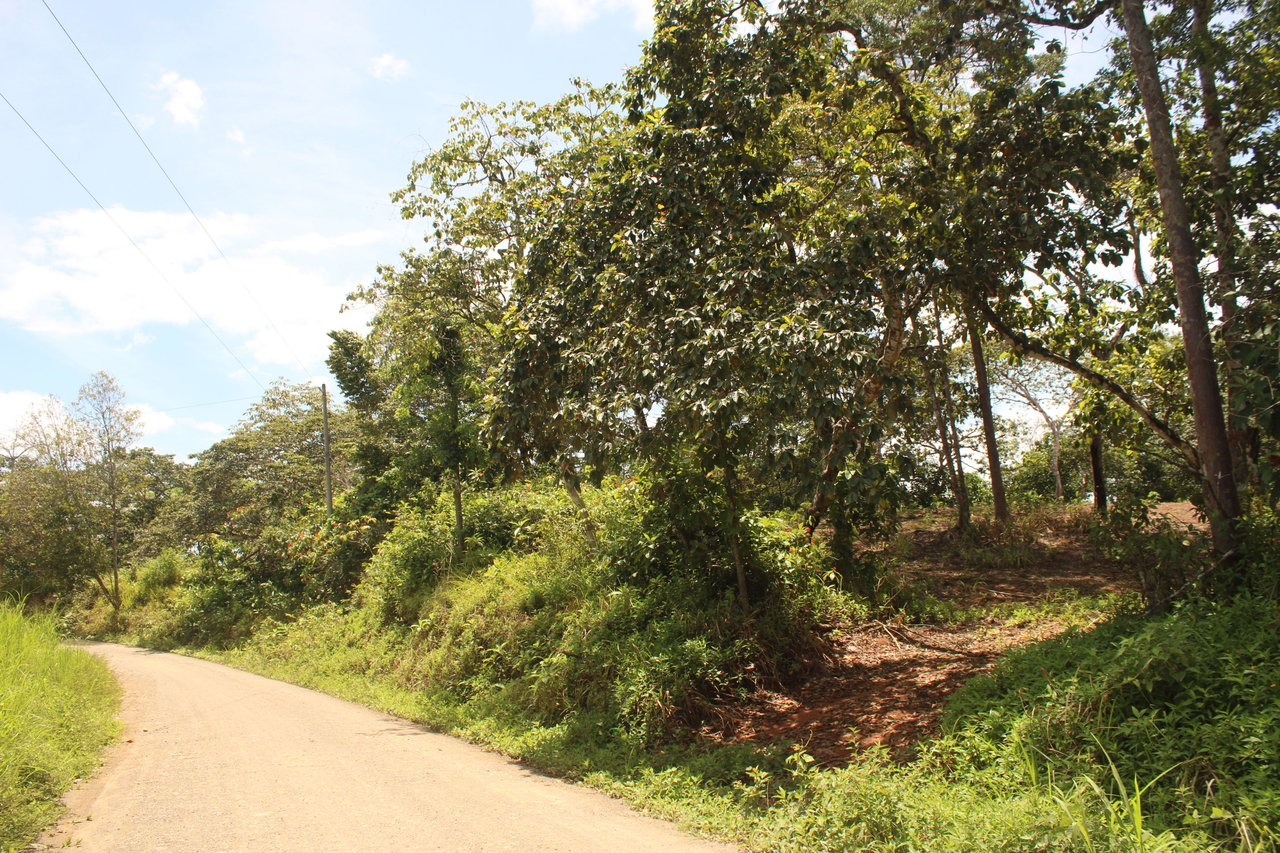 Wildlife Reserve Farm close to Ojochal