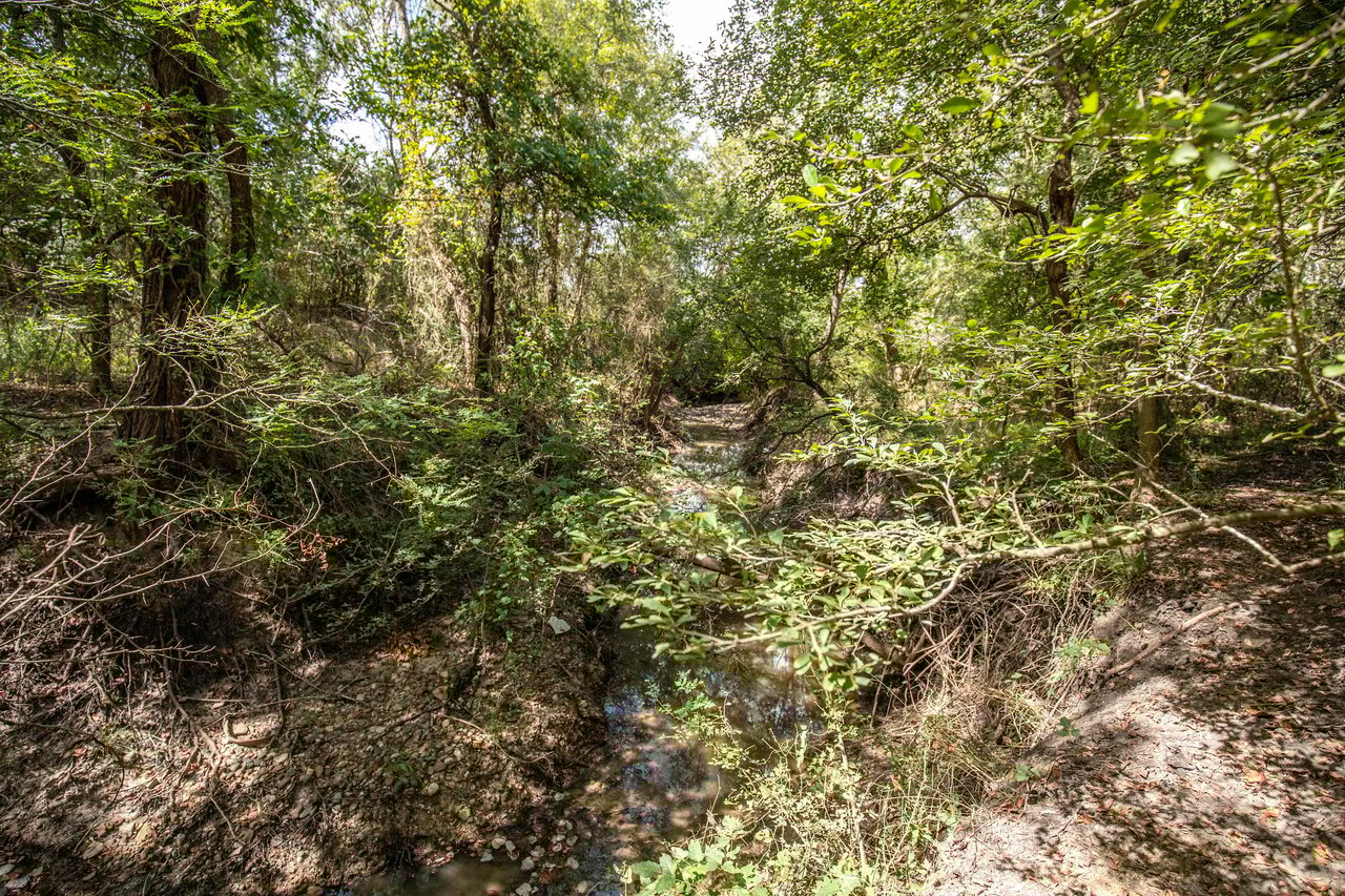 Lovers Lane River Ranch | 140± Acres | DeWitt County