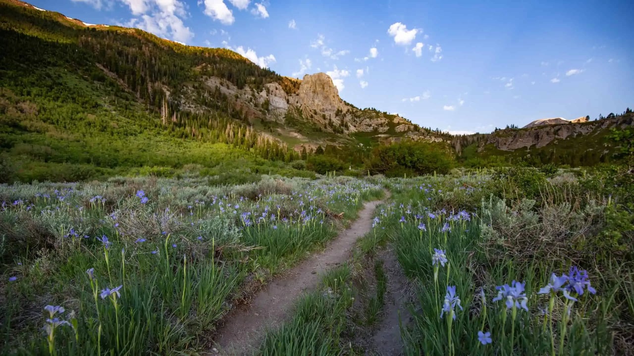 Mammoth Lakes Real Estate Market Update for June 2022