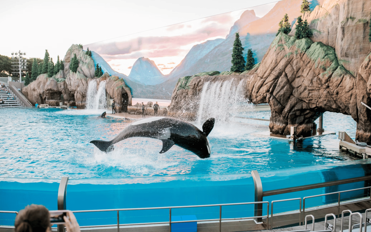 Things to Do in San Diego