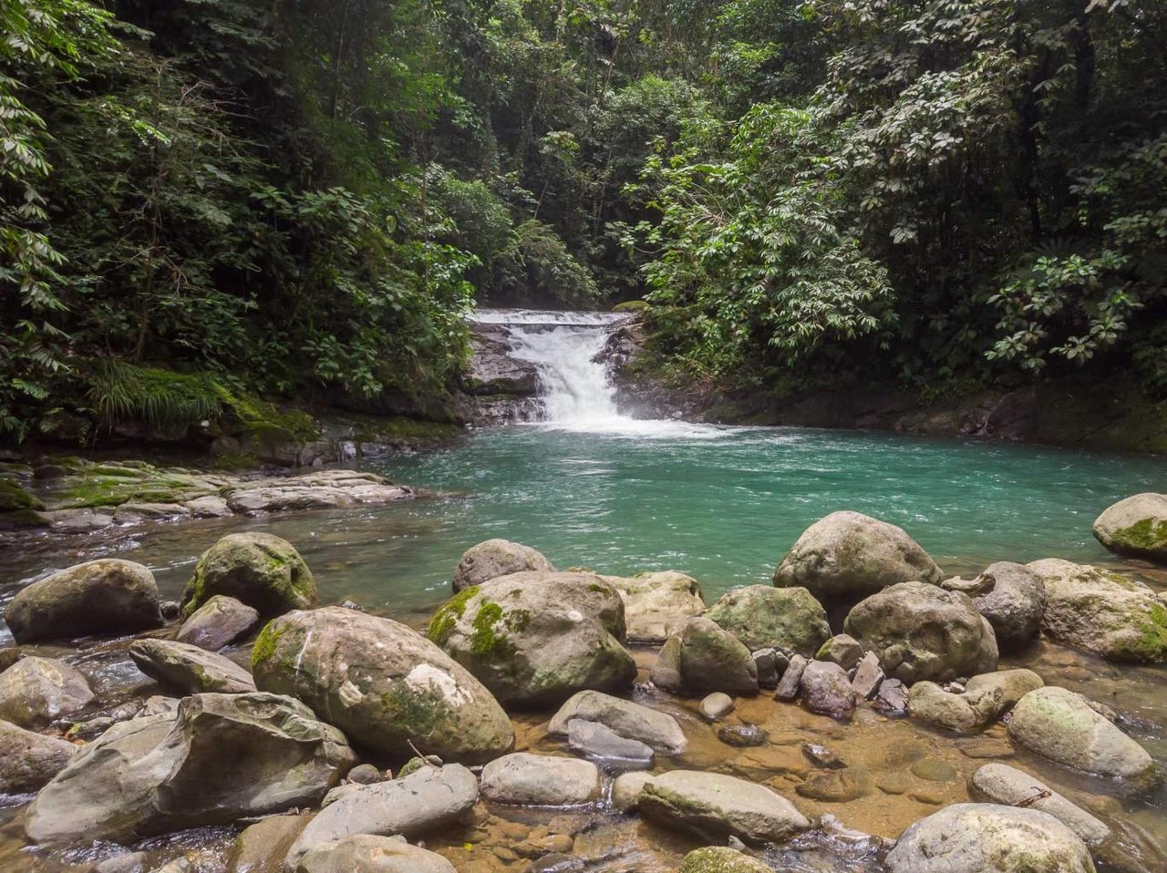 16.5 Acre, First Ridge, Fantastic Ocean Views, Private Swimming Holes