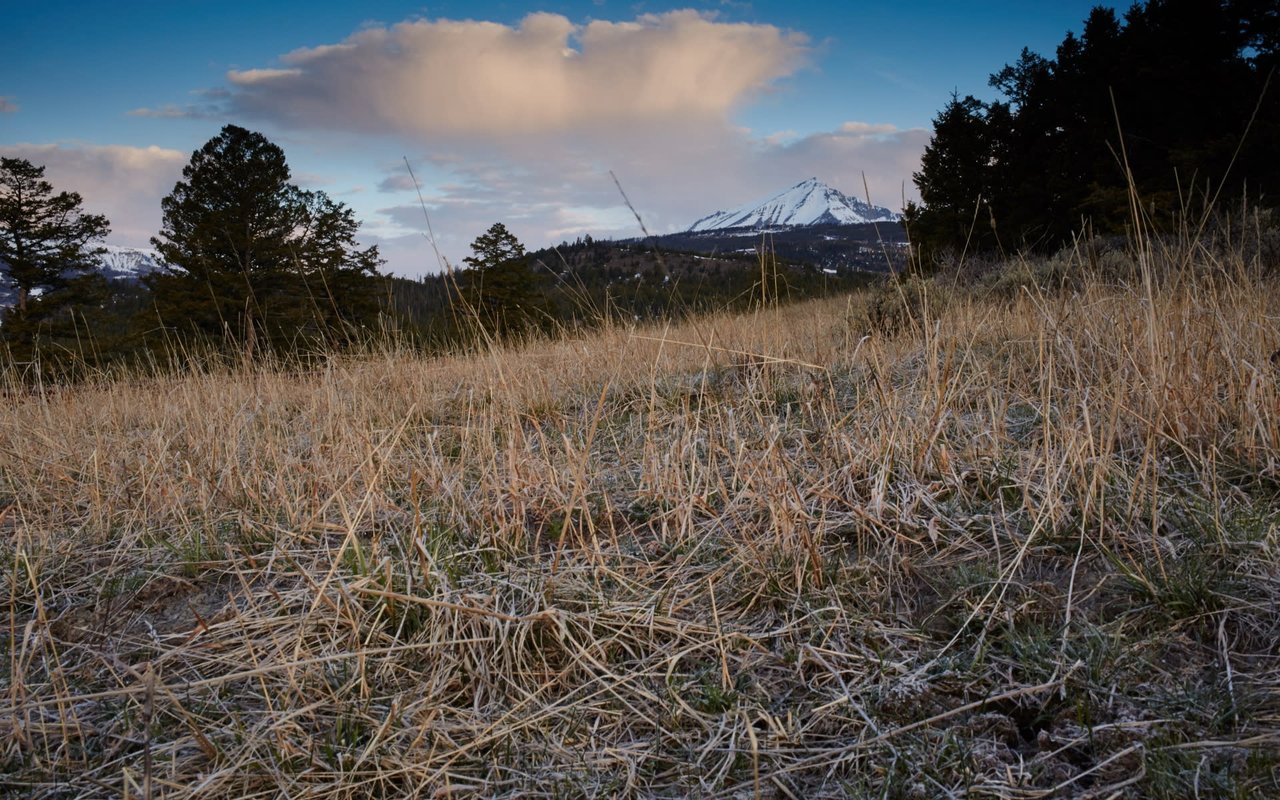 Spanish Peak Mountain Club