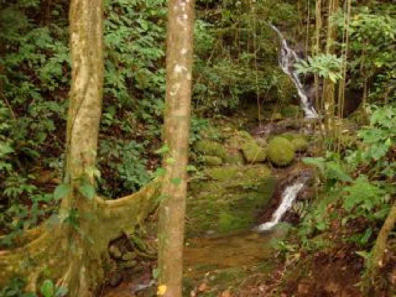 Ocean View Waterfall Land, Dominical, Puntarenas