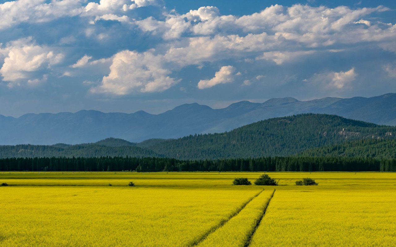 Northwest Montana