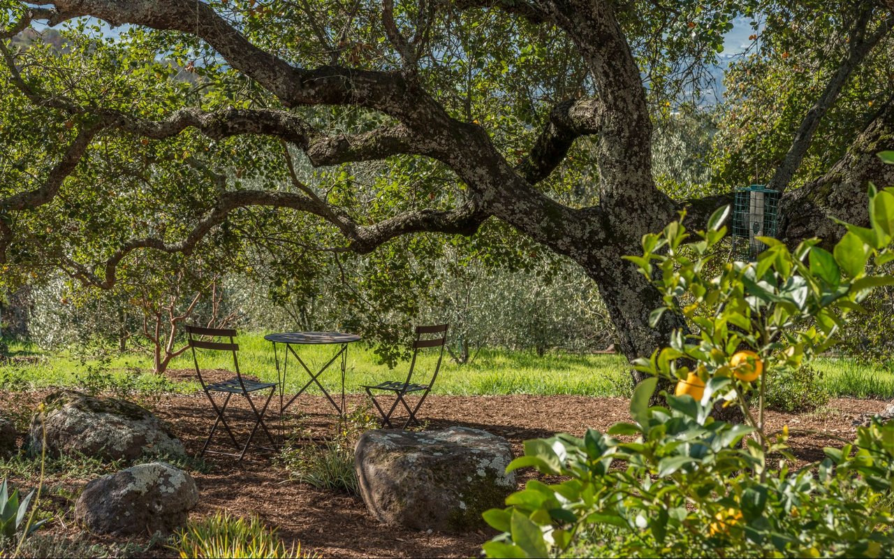 Lovall Valley Road, Sonoma