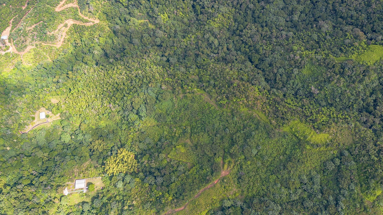 Jayuya with Airbnb  and Farming Potential