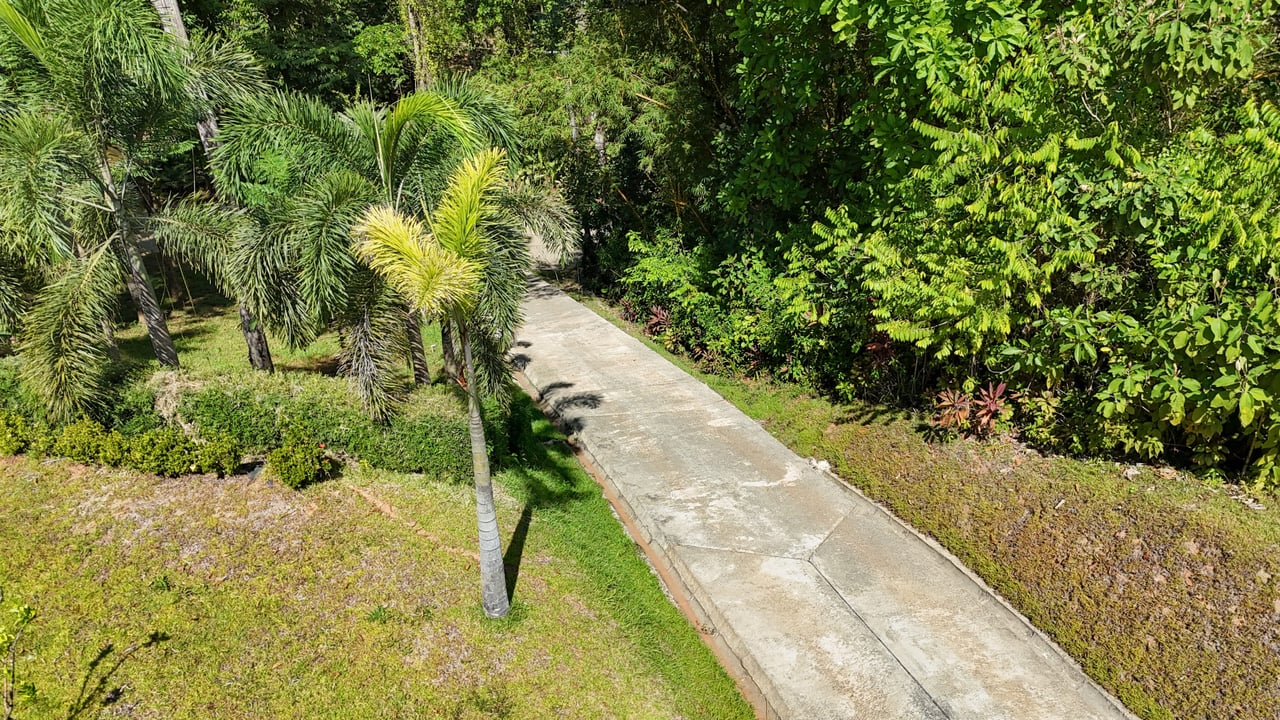 Elevated 2.2 Acres Jungle And Creek-Fronting Mountain View Lot In Ojochal