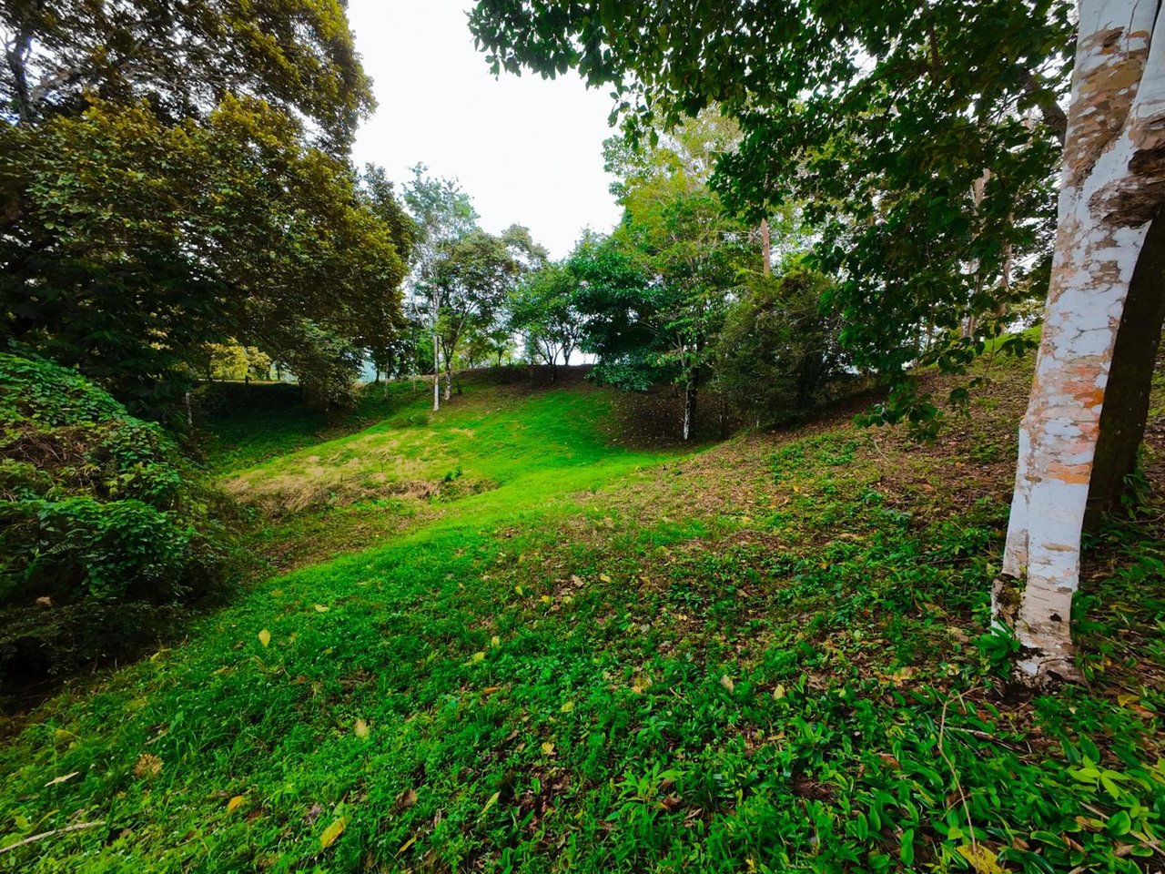 Private Ocean View Development Lot, Ojochal, Puntarenas
