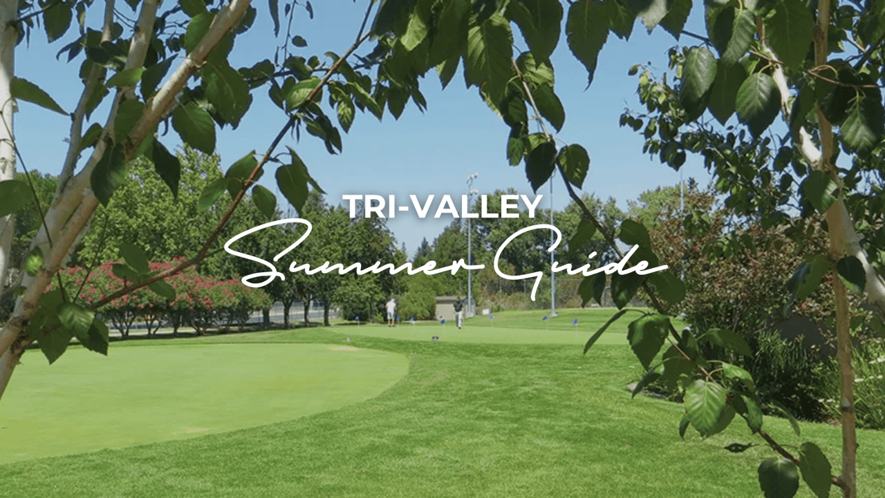 Tri-Valley Summer Guide