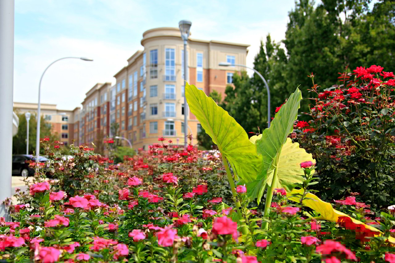 SouthPark - Charlotte, NC