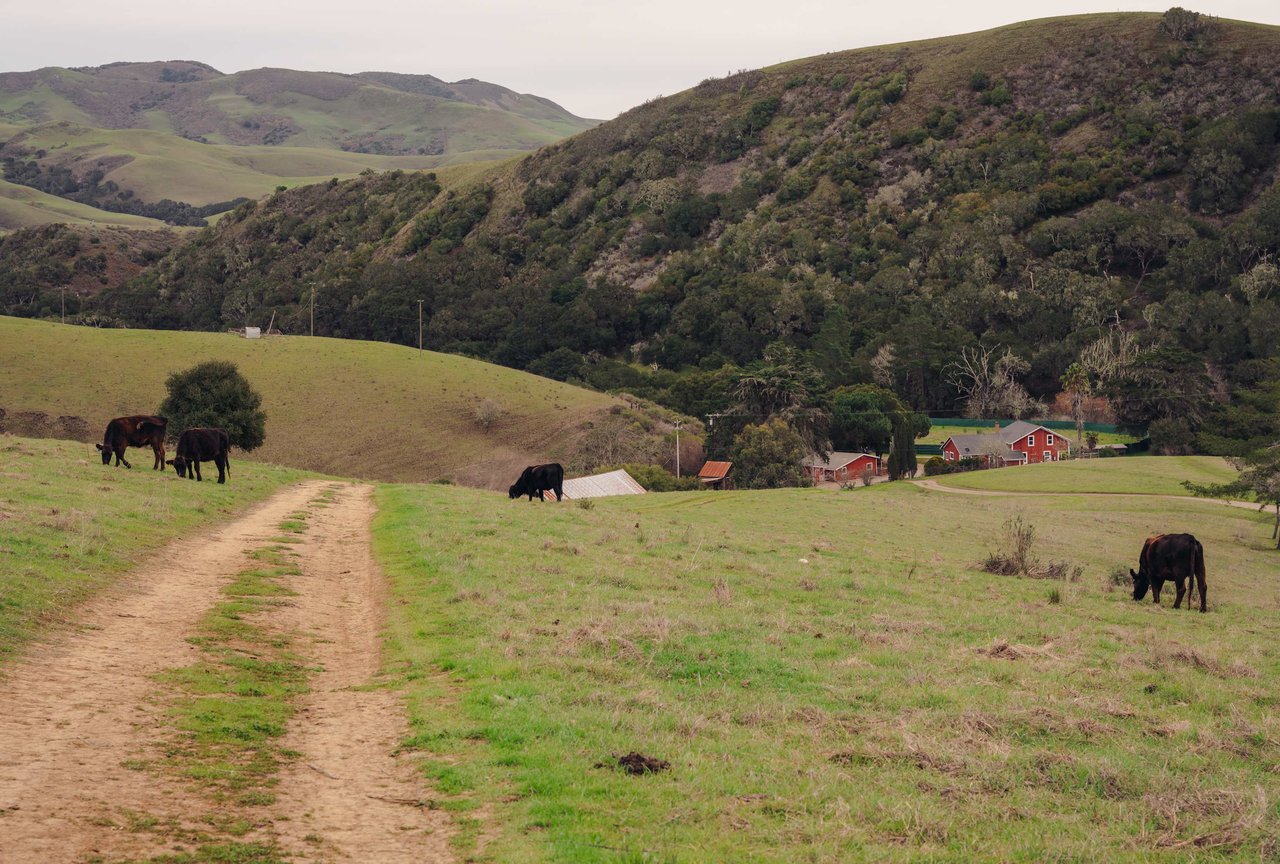 La Hoya Creek Ranch